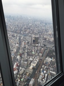 Image-1 (3)