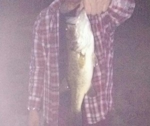 42cm (2)